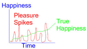 Happiness vs Pleasure